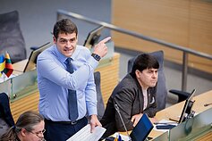 Žemaitaitis w Sejmie