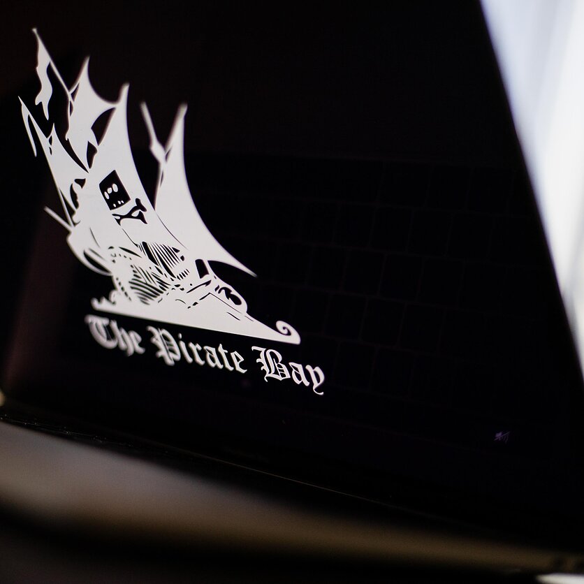 J. Stacevičiaus / LRT nuotr., piratavimas