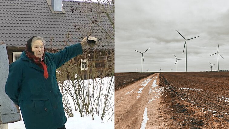 „Bardakas ir nesąmonė“: nepatenkinti Mėžionių kaimo gyventojai sukilo prieš vėjo elektrinių parko statybas