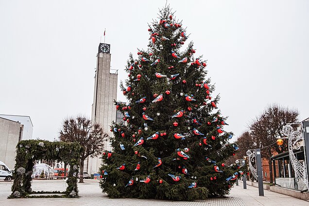 Chrismas tree in Alytus in 2023
