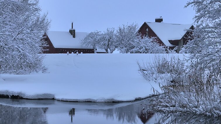 Pelkininkai – Vabalų kaime žmonės dirbo sunkiai, bet puoštis mėgo