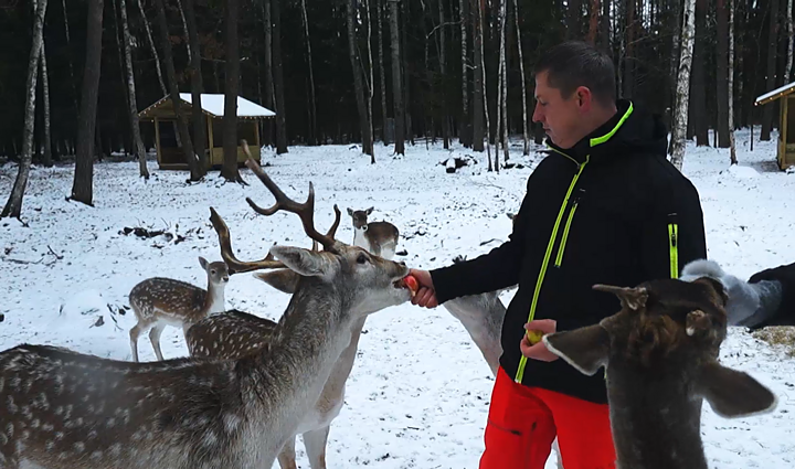 Kalėdų stebuklą tarp „bembių“ Lietuvoje sukūrę Karolis ir Erika: nuolat gyventi Kalėdose niekaip negali atsibosti