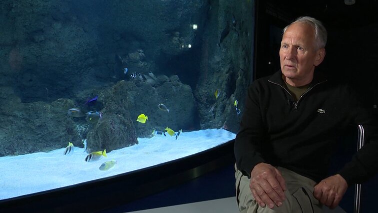 Pradėk nuo savęs. Fotoaparatu ir teptuku gamtą fiksuojantis Saulius Karalius: jei nebūtų paukščių, pieščiau žuvis