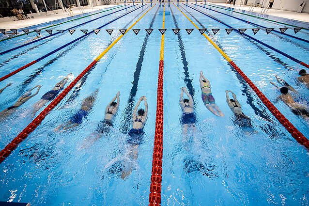 Tradicinis plaukimas į Naujuosius metus