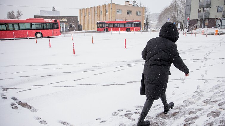 Dienos metu sulauksime 13-16 laipsnių šalčio, sugrįš ir sniegas, bet staigūs pokyčiai laikysis neilgai