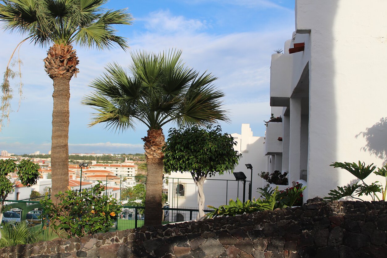 Nekilnojamasis turtas Tenerifėje