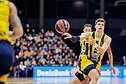 Tarikas Biberovičius