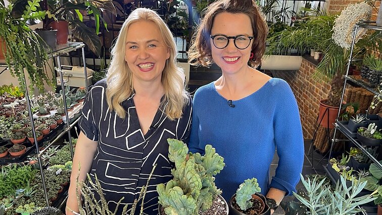 Mitus apie sukulentų priežiūrą žiemą išsklaidžiusi Vilma Bagdonaitė-Tiknienė: kuo keistesnis, tuo geriau