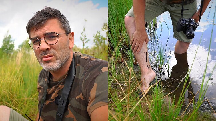Gamtininko užrašai. Per pažintį su kirmėlėmis dėlių sukeliamą skausmą kentęs Čepulis: žaizdos užgijo tik po poros mėnesių