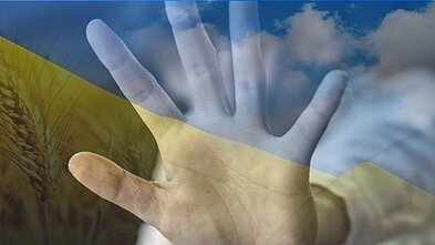 Support for Victims of Sexual Violence 