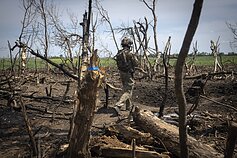 Išminavimas Ukrainoje