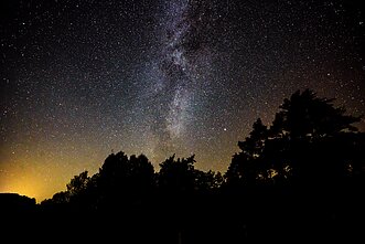Paukščių takas