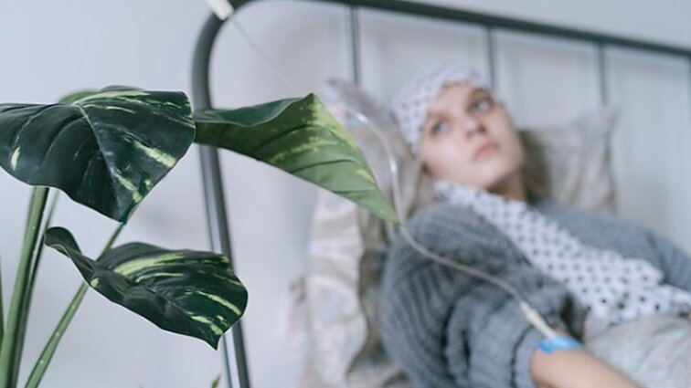 Švedijoje mokslo tyrimams pasitelkiamos žuvys: ieško sprendimų, kaip išgydyti vėžį