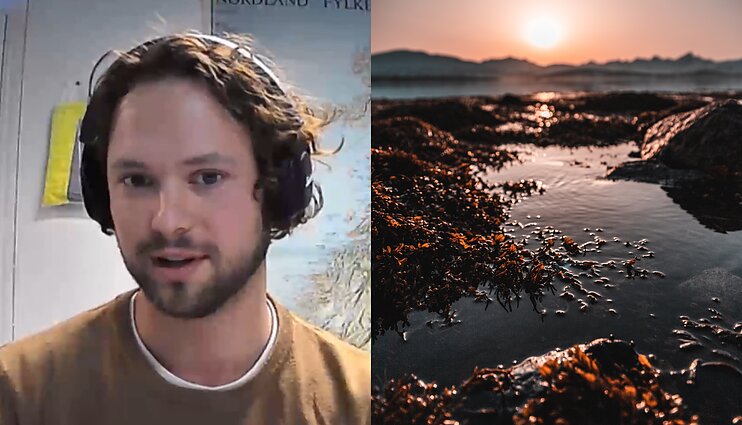 Dominykas Norvegijoje nagrinėja dumblius – neįprasta sritimi susidomėjo Londone, siekdamas tapti vienu geriausių pasaulio šefų