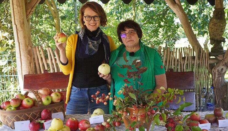 Aktualu svajojantiems auginti obelis: sodininkė atsakė, kodėl šio medžio negalima rinktis tik pagal veislę