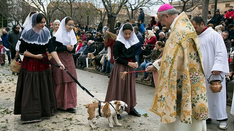 Žinios. Šiandien minima gyvūnų globėjo šv. Antano diena, kurios metu laiminami gyvūnai