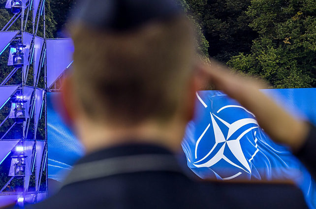 Vokietijoje gyvenantis ekspertas: viskas ko reikia Trumpui – pasėti abejonių dėl NATO atsako lygio