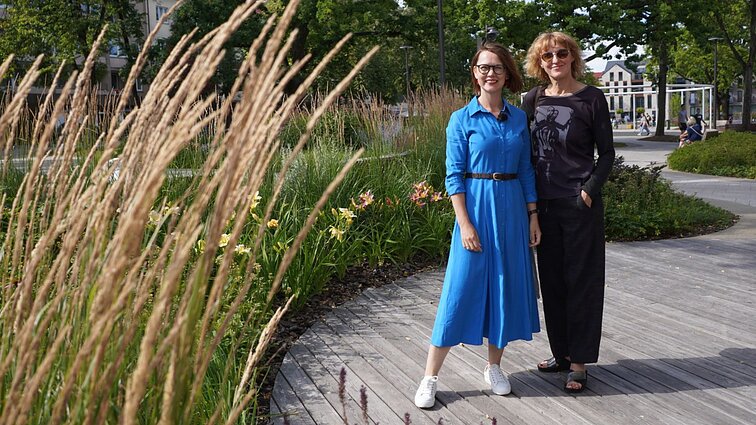 Panevėžys gali pasigirti viena gražiausiai sutvarkytų aikščių Lietuvoje: kviečia atrasti lengvai prižiūrimų augalų idėjas