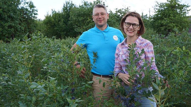 Šilauogių auginimo klaidas aptaręs ir mitus sugriovęs Rolandas: vienas iš svarbiausių dalykų – meilė augalui