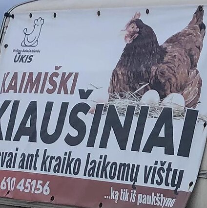 Gimtoji žemė. Vištas dedekles ant kraiko perkėlę ūkininkai griebiasi už galvos