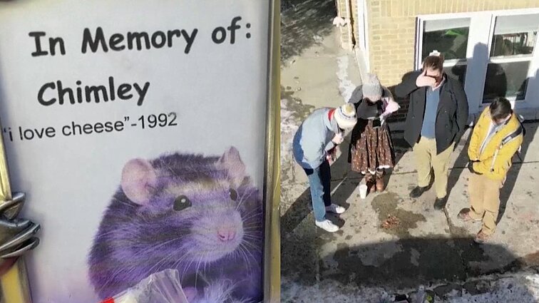 Netikėta sensacija Čikagoje – smalsuolius traukia asfalto paviršiuje likęs graužiko įspaudas