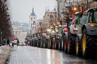 Ūkininkai Gedimino prospekte Ūkininkai Gedimino prospekte