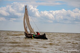 Lietuvos jūrų muziejus parodoje