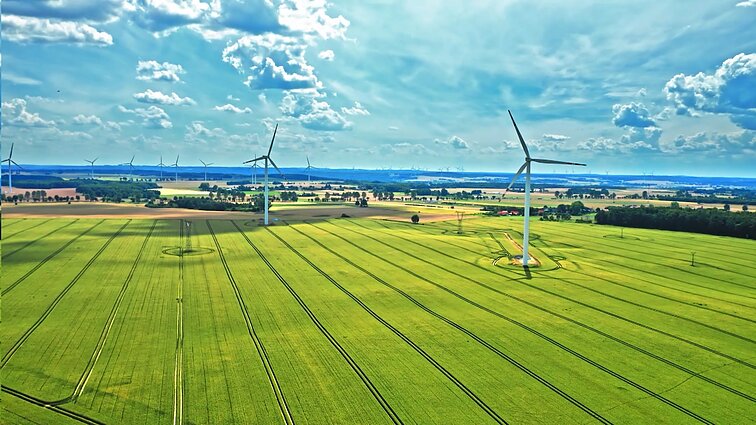 Prognozė. Kaip tvarūs finansai gali prisidėti prie klimato kaitos stabdymo?