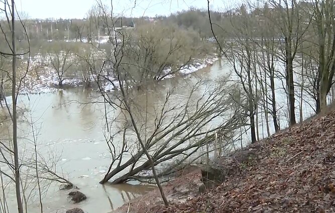 Nuošliauža Tauragėje