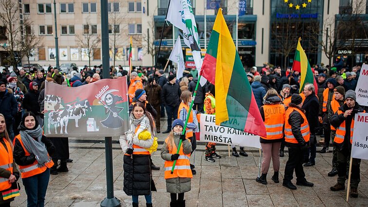Premjerės patarėjas: pievų skaičius yra didesnis, negu ūkininkai gali „pavežti“