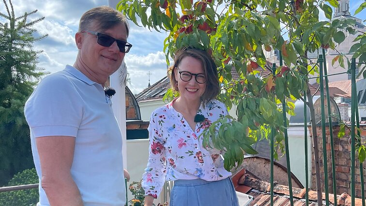 Derlius miesto terasoje – misija įmanoma: persikus ir abrikosus auginantis vilnietis įsitikinęs – sodininkauti galima visur