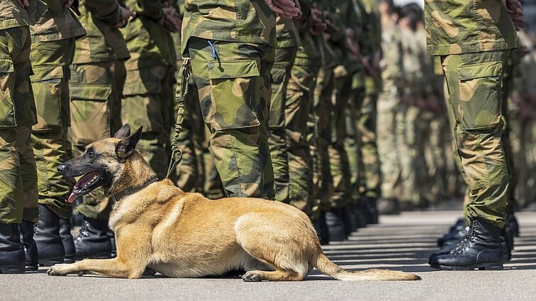 Profesorė apie gynybos finansavimą: aiškaus plano nebuvimas kenkia mūsų valstybei