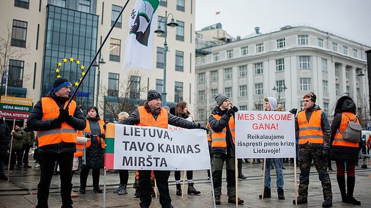 Protestavimo tendencijas Lietuvoje apžvelgusi sociologė: vien emocijomis pokyčio nesukursi