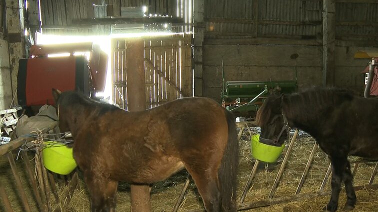 Prienų raj. ūkininkai piktinasi dukart išaugusiu žemės mokesčiu, kaltina savivaldybę aplaidumu