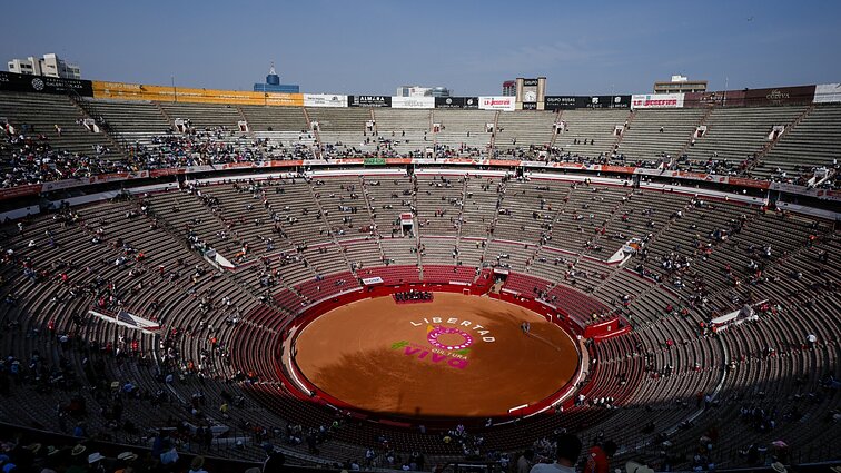 Meksikoje verda ginčai dėl bulių kautynių: vieniems tai – šimtametė tradicija, kitiems – skerdynės