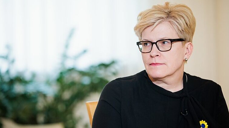 Šimonytė teigia pasitikinti žemės ūkio ministru: pakeitus Navicką konfliktas niekur nedingtų