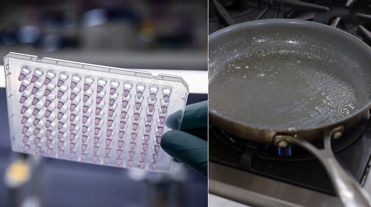 Eurokomisarų kraujyje rasti toksiniai chemikalai: kaip jie patenka į žmogaus organizmą?