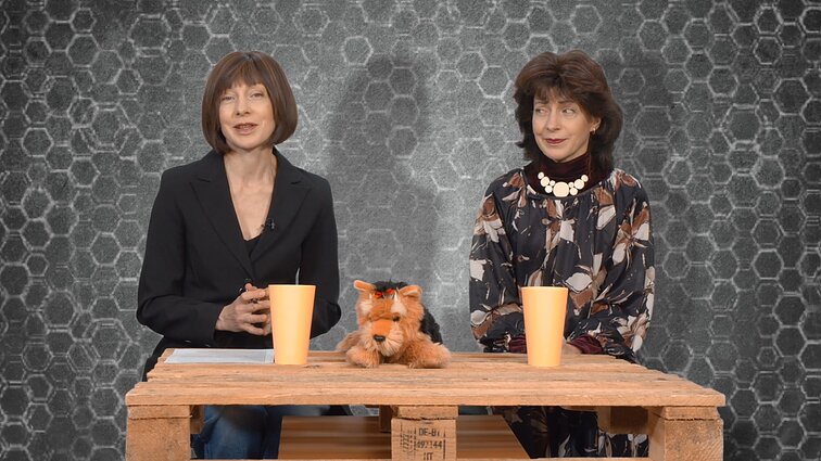 Dviračio žinios. Laima Paksienė: ar žentas kaltas, kad vėjas pučia?