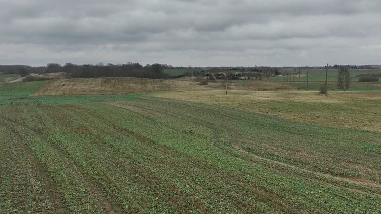 Keičiasi aptarnavimas Nacionalinėje žemės tarnyboje – klausimus rajonuose sprendžia nebe teritoriniai skyriai