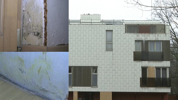 Solidžią sumą už naują butą sumokėjusi klaipėdietė ruošiasi jau trečiam remontui: vanduo bėga per langus, sienas, lubas ir grindis