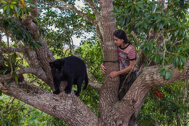 Filmas „Ema ir juodasis jaguaras“ Filmas „Ema ir juodasis jaguaras“
