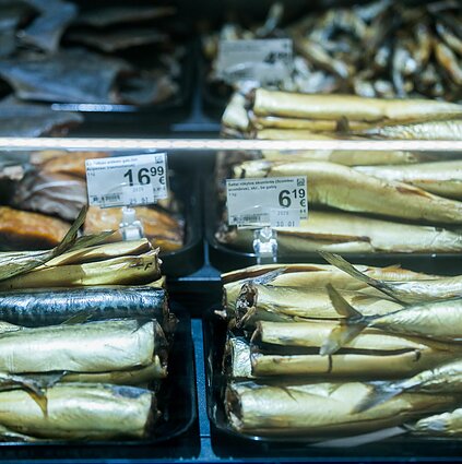 10–12. Žuvų ištekliai Baltijos jūroje - mažėja. Kokios rūšys nyksta sparčiausiai?