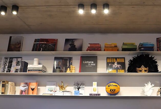 Modelio J. Steponavičiūtės ir prodiuserio A. Vosyliaus namai