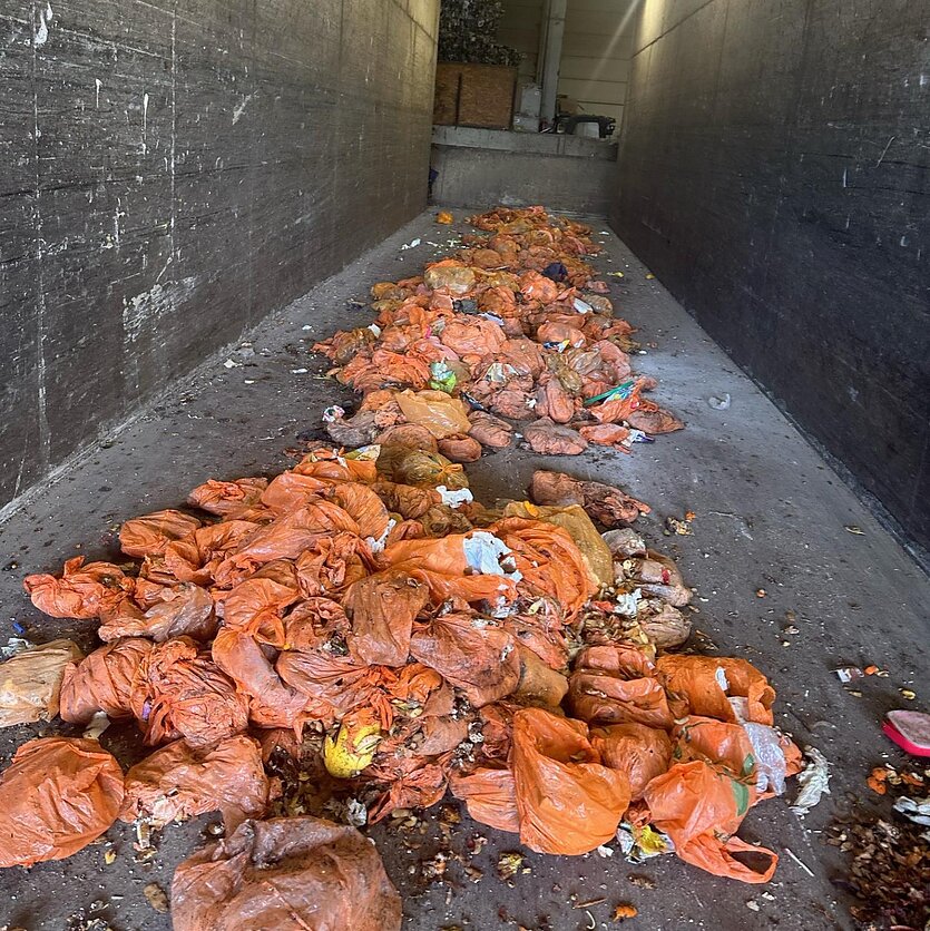 Algirdas Blazgys, Maisto atliekų maišeliai išrūšiuoti Vilniaus mechaninio biologinio apdorojimo įrenginiuose