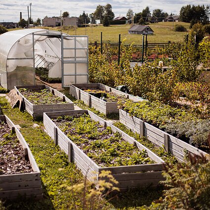 10–12. Naujosios genominės technologijos - už ar prieš?
