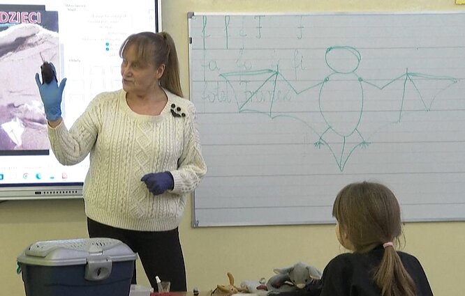 B. Gorecka mokykloje vaikus supažindina su šikšnosparniais