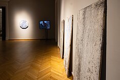 Pauliaus Šliaupos ir Manu Engeleno paroda Rotušėje 