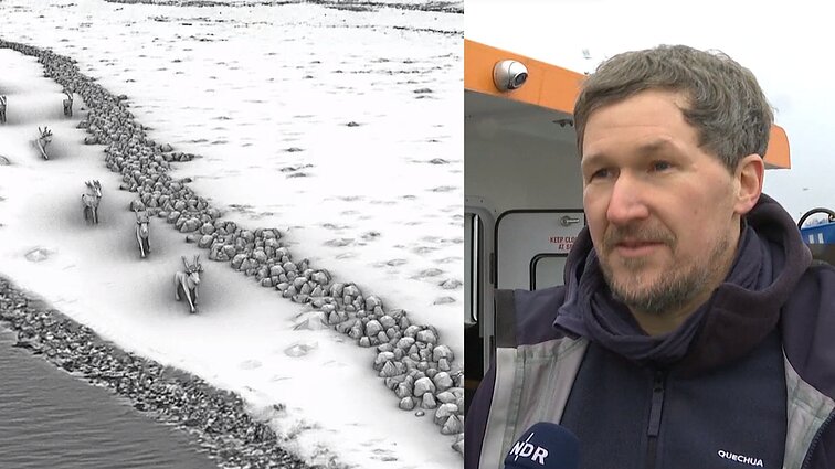 Ledynmetį menantis atradimas: Vokietijos mokslininkai Baltijos jūros dugne aptiko akmeninę sieną