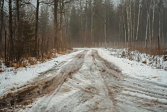 Kelias pro Piniavą Kelias pro Piniavą