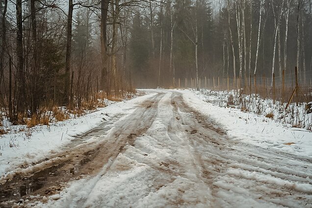 Kelias pro Piniavą Kelias pro Piniavą